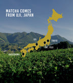 Senjunomukashi Ceremonial Matcha (Thick Grade)