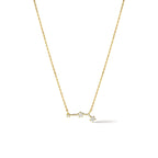 Zodiac Collection Necklace