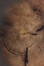 Mourning Wood Eau de Parfum