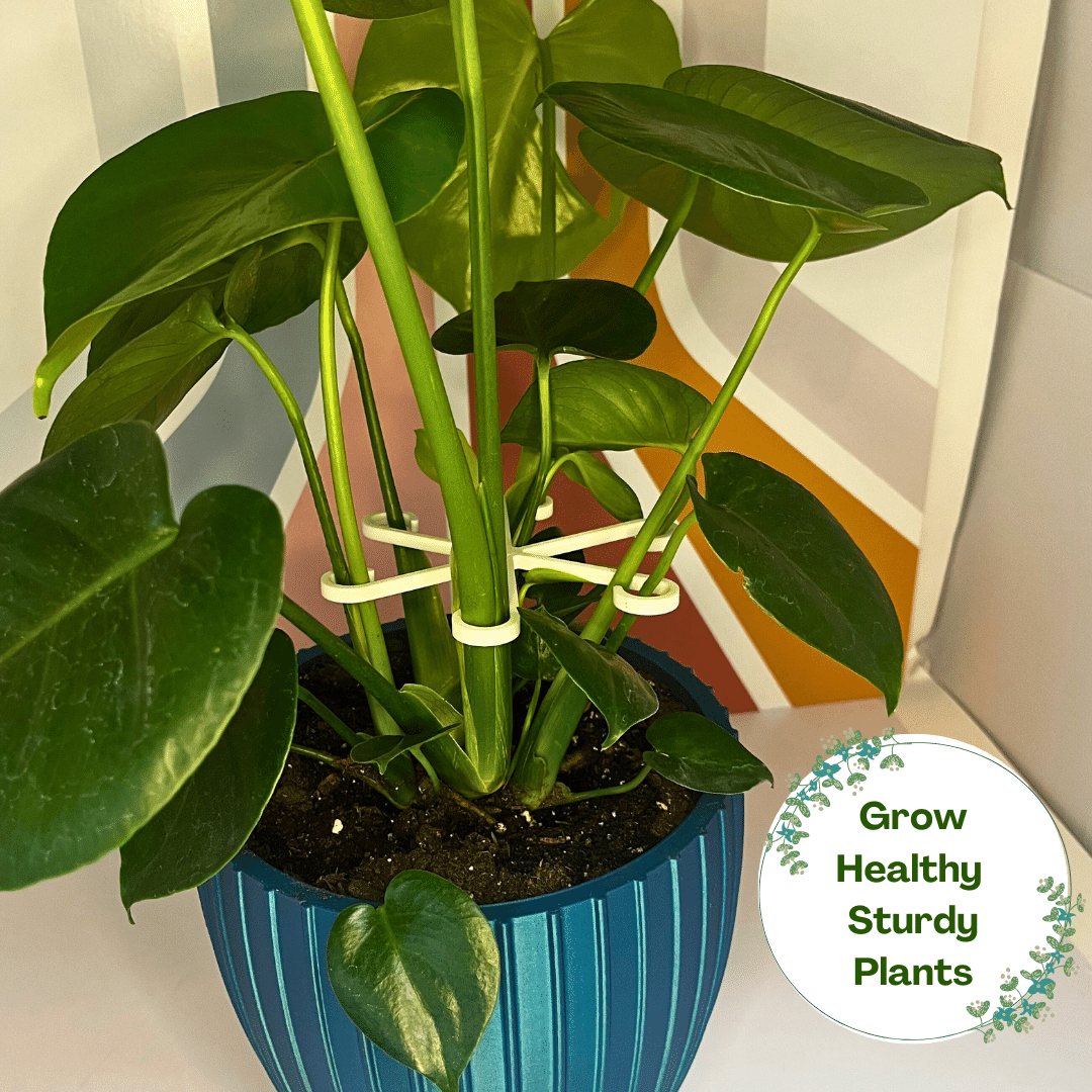 Chatelet Plant Climbers Stem Holders | Unique Design Supports for Growing Plants | 3 Sizes Included for Different Plant Stages | Made in USA (3 Pack, White)
