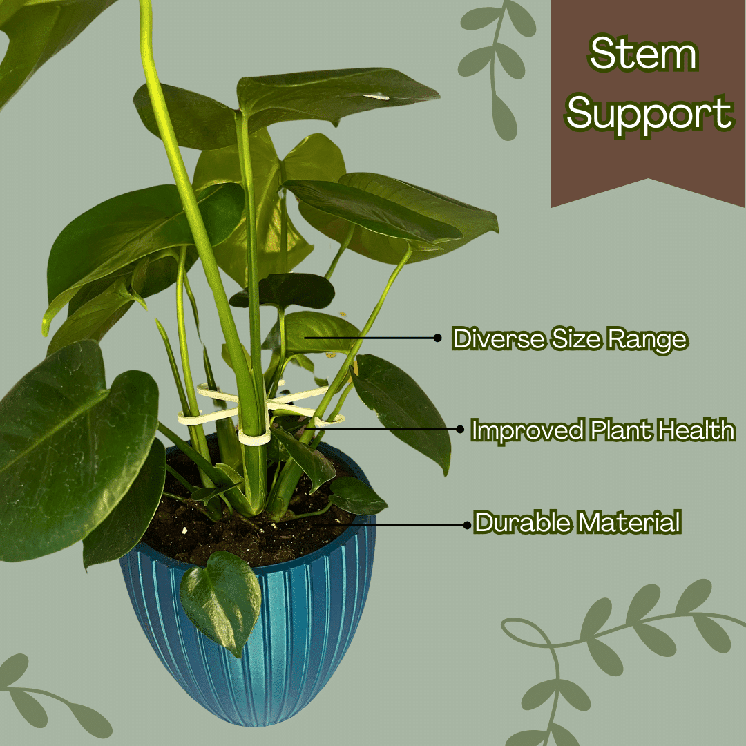 Chatelet Plant Climbers Stem Holders | Unique Design Supports for Growing Plants | 3 Sizes Included for Different Plant Stages | Made in USA (3 Pack, White)